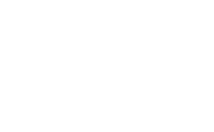 Bezd Biltong Logo